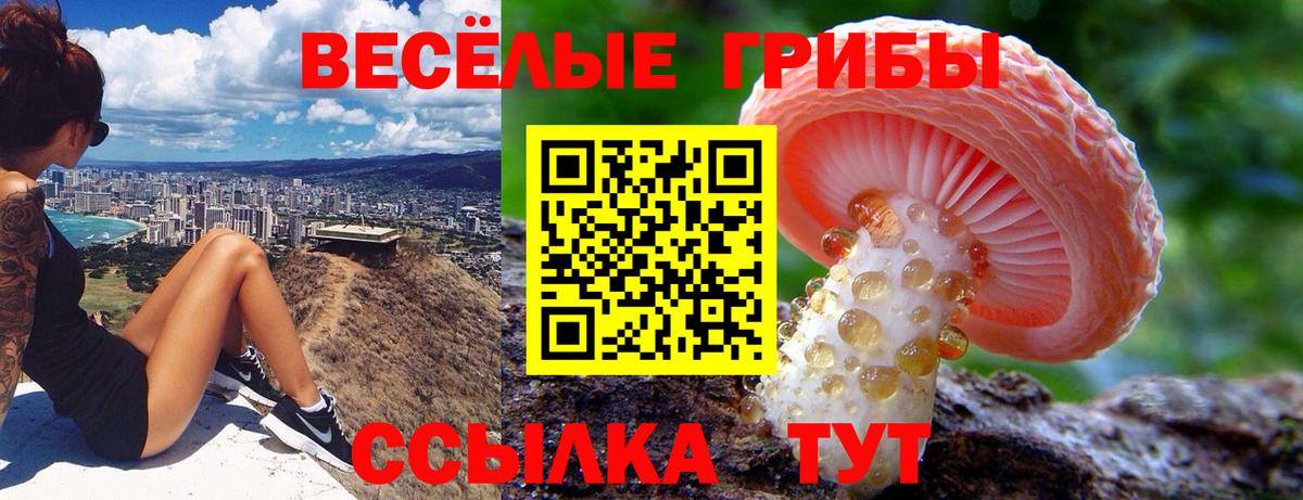Псилоцибиновые грибы Magic Shrooms  Вход с VPN  Псилоцибиновые грибы мицелий  Алексеевка 